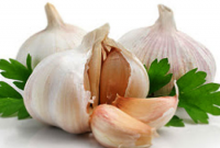 bawang-putih