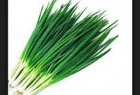 daun-bawang