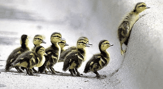 An Uphill Battle: Pengertian Dan Contoh Kalimatnya Dalam Bahasa Inggris