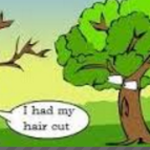 causative Verbs