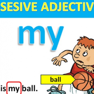 Possessive Adjective