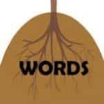 root word