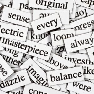 vocabulary
